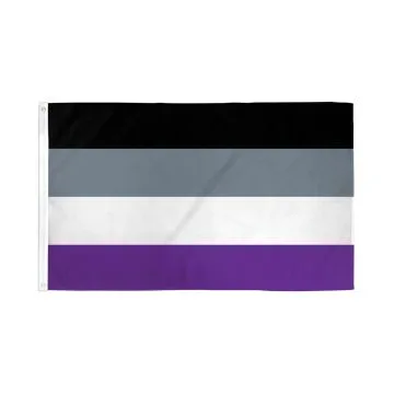Drapeau Arc-en-Ciel Asexuel 250x150cm - GRAND Drapeau Aasexualité - Rainbow 150 x 250 cm
