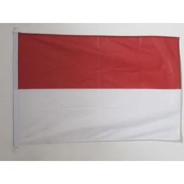 DRAPEAU ALSACE ROT UN WISS 150x90cm - DRAPEAU ALSACIEN - FRANCE 90 x 150 cm Spécial Extérieur - DRAPEAUX
