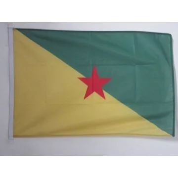 DRAPEAU GUYANE 90x60cm - DRAPEAU GUYANAIS - FRANCE 60 x 90 cm Spécial Extérieur - DRAPEAUX