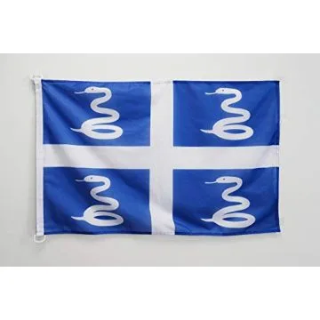 Drapeau Martinique 90x60cm - Drapeau martiniquais - France 60 x 90 cm Spécial Extérieur - Drapeaux