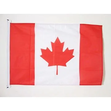 DRAPEAU CANADA 90x60cm - DRAPEAU CANADIEN 60 x 90 cm Spécial Extérieur - DRAPEAUX