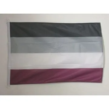 DRAPEAU ARC-EN-CIEL ASEXUEL 90x60cm - DRAPEAU AASEXUALITÍ? - RAINBOW 60 x 90 cm Spécial Extérieur - DRAPEAUX