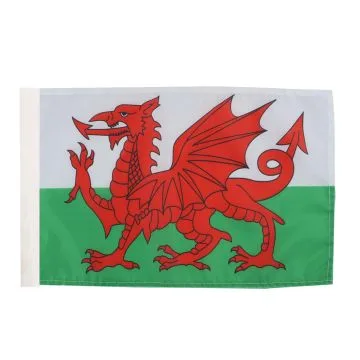 DRAPEAU PAYS DE GALLES 45x30cm - DRAPEAU GALLOIS 30 x 45 cm avec fourreau