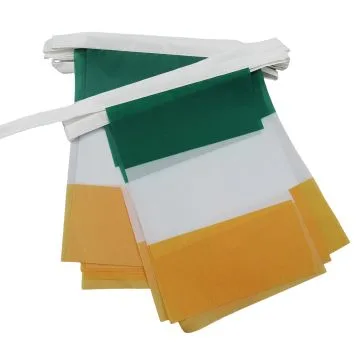 GUIRLANDE 6 mètres 20 DRAPEAUX IRLANDE 21x15 cm - DRAPEAU IRLANDAIS 15 x 21 cm