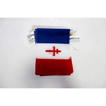 Guirlande 6 mètres 20 Drapeaux France libre 1940-1944 21x15 cm - Drapeau français de la résistance 15 x 21 cm