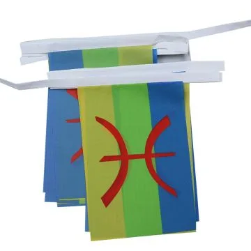 Guirlande 6 mètres 20 Drapeaux Kabylie 21x15 cm - Drapeau kabyle 15 x 21 cm