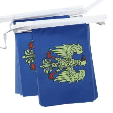 Guirlande 6 mètres 20 Drapeaux Frioul-Vénétie julienne 21x15 cm - Drapeau de la région du Friuli 15 x 21 cm
