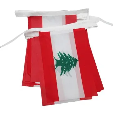 GUIRLANDE 6 mètres 20 DRAPEAUX LIBAN 21x15 cm - DRAPEAU LIBANAIS 15 x 21 cm