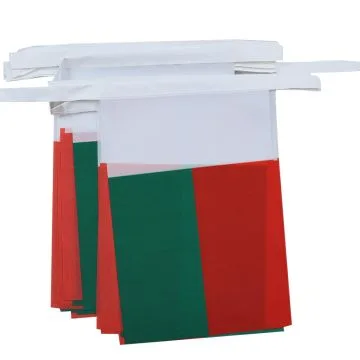 GUIRLANDE 6 mètres 20 DRAPEAUX MADAGASCAR 21x15 cm - DRAPEAU MALGACHE 15 x 21 cm