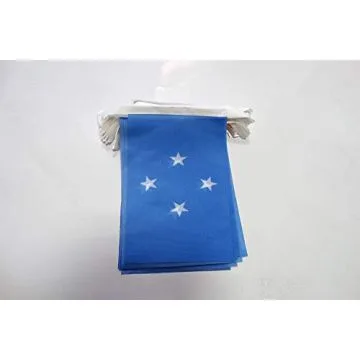 Guirlande 6 mètres 20 Drapeaux Micronésie 21x15 cm - Drapeau micronésien 15 x 21 cm