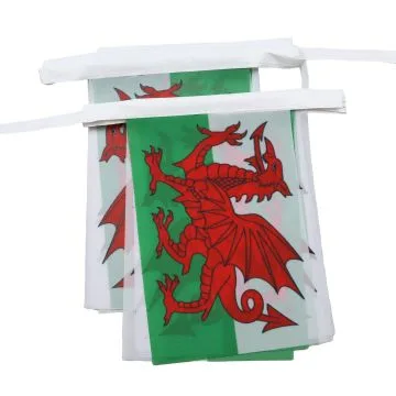GUIRLANDE 6 mètres 20 DRAPEAUX PAYS DE GALLES 21x15 cm - DRAPEAU GALLOIS 15 x 21 cm
