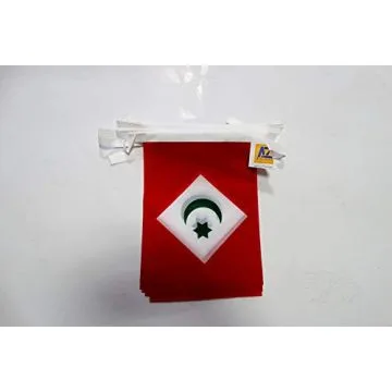 Guirlande Drapeau Rif indépendantiste au Maroc 6 mètres | 20 drapeaux 21x15 cm