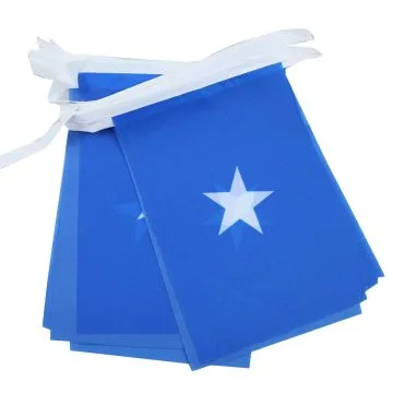 GUIRLANDE 6 mètres 20 DRAPEAUX SOMALIE 21x15 cm - DRAPEAU SOMALIEN 15 x 21 cm