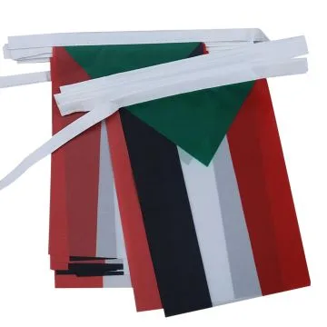 Guirlande 6 mètres 20 Drapeaux Soudan 21x15 cm - Drapeau soudanais 15 x 21 cm