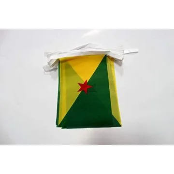 Guirlande 6 mètres 20 Drapeaux Guyane 21x15 cm - Drapeau guyanais 15 x 21 cm