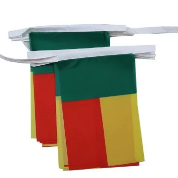 GUIRLANDE 6 mètres 20 DRAPEAUX BÍ?NIN 21x15 cm - DRAPEAU BÍ?NINOIS 15 x 21 cm