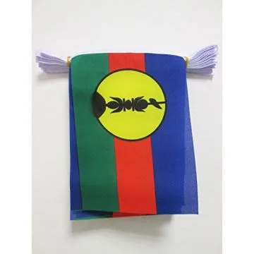 GUIRLANDE 6 mètres 20 DRAPEAUX NOUVELLE CALÉDONIE 21x15 cm - DRAPEAU NÉO-CALÉDONIEN 15 x 21 cm