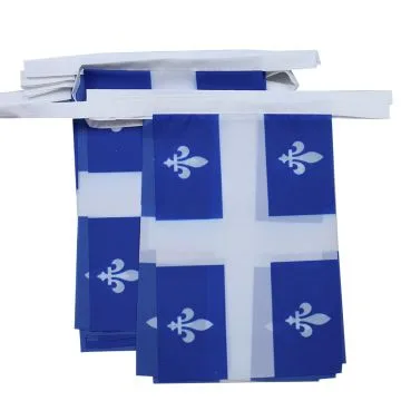 Guirlande 6 mètres 20 Drapeaux Québec 21x15 cm - Drapeau québécois 15 x 21 cm