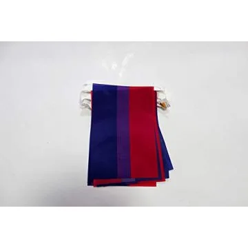 Guirlande 6 mètres 20 Drapeaux Bisexuel 21x15 cm - Drapeau bisexuel 15 x 21 cm