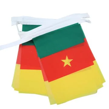 GUIRLANDE 6 mètres 20 DRAPEAUX CAMEROUN 21x15 cm - DRAPEAU CAMEROUNAIS 15 x 21 cm