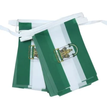 GUIRLANDE 6 mètres 20 DRAPEAUX ANDALOUSIE 21x15 cm - DRAPEAU ANDALOUS 15 x 21 cm