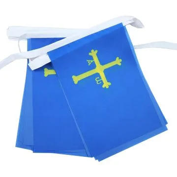 Guirlande 6 mètres 20 Drapeaux Asturies 21x15 cm - Drapeau de Asturias 15 x 21 cm