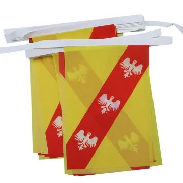 GUIRLANDE 6 mètres 20 DRAPEAUX LORRAINE 21x15 cm - DRAPEAU LORRAIN 15 x 21 cm
