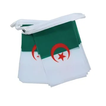 GUIRLANDE 6 mètres 20 DRAPEAUX ALGÉRIE 21x15 cm - DRAPEAU ALGÉRIEN 15 x 21 cm