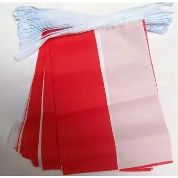 GUIRLANDE 6 mètres 20 DRAPEAUX ALSACE ROT UN WISS 21x15 cm - DRAPEAU ALSACIEN 15 x 21 cm