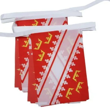 Guirlande 6 mètres 20 Drapeaux Alsace 21x15 cm - Drapeau alsacien 15 x 21 cm