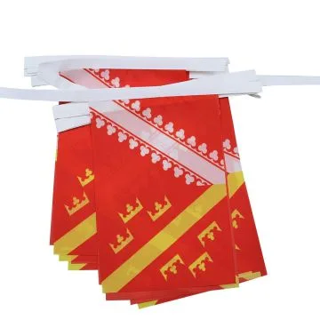 GUIRLANDE 6 mètres 20 DRAPEAUX ALSACE ANCIEN 21x15 cm - DRAPEAU ALSACIEN 15 x 21 cm