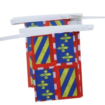 GUIRLANDE 6 mètres 20 DRAPEAUX BOURGOGNE 21x15 cm - DRAPEAU BOURGUIGNON 15 x 21 cm