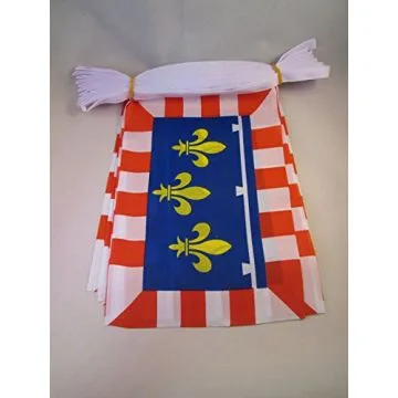GUIRLANDE 6 mètres 20 DRAPEAUX CENTRE 21x15 cm - DRAPEAU CENTRISTE 15 x 21 cm
