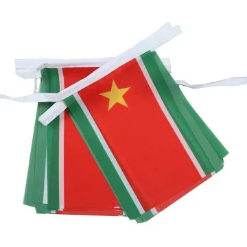 Guirlande 6 mètres 20 Drapeaux Guadeloupe indépendant 21x15 cm - Drapeau guadeloupéen 15 x 21 cm