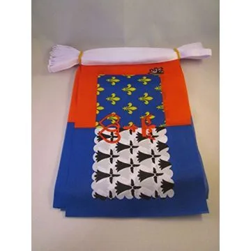 GUIRLANDE 6 mètres 20 DRAPEAUX PAYS DE LA LOIRE 21x15 cm - DRAPEAU LIGÉRIEN 15 x 21 cm