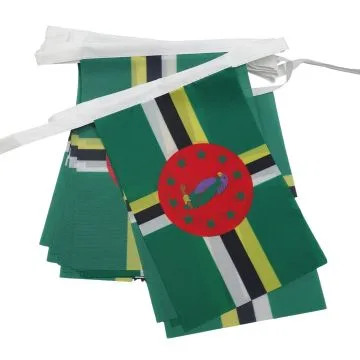 GUIRLANDE 6 mètres 20 DRAPEAUX DOMINIQUE 21x15 cm - DRAPEAU DOMINIQUAIS 15 x 21 cm