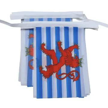 Guirlande 6 mètres 20 Drapeaux Luxembourg avec lion 21x15 cm - Drapeau luxembourgeois 15 x 21 cm