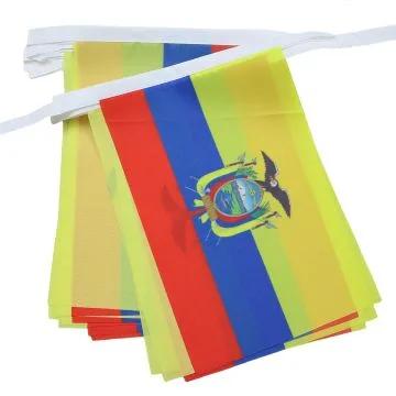 GUIRLANDE 6 mètres 20 DRAPEAUX EQUATEUR 21x15 cm - DRAPEAU ÉQUATORIEN 15 x 21 cm