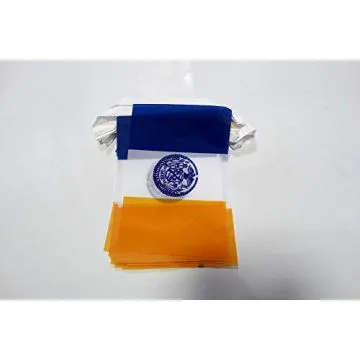Guirlande 6 mètres 20 Drapeaux New York City 21x15 cm - Drapeau new yorkais 15 x 21 cm