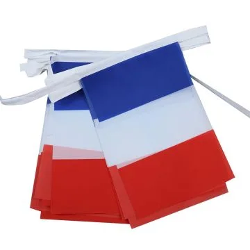 GUIRLANDE 6 mètres 20 DRAPEAUX FRANCE 21x15 cm - DRAPEAU FRANÇAIS 15 x 21 cm