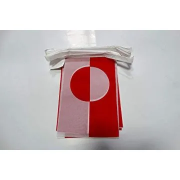 Guirlande 6 mètres 20 Drapeaux Groenland 21x15 cm - Drapeau groenlandais 15 x 21 cm