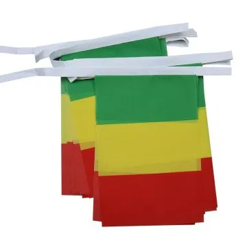 GUIRLANDE 6 mètres 20 DRAPEAUX GUINÍ?E 21x15 cm - DRAPEAU GUINÍ?EN 15 x 21 cm