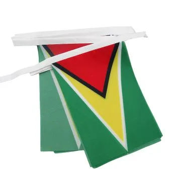 GUIRLANDE 6 mètres 20 DRAPEAUX GUYANA 21x15 cm - DRAPEAU GUYANIEN 15 x 21 cm