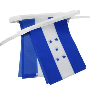 GUIRLANDE 6 mètres 20 DRAPEAUX HONDURAS 21x15 cm - DRAPEAU HONDURIEN 15 x 21 cm