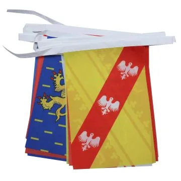 GUIRLANDE 7 mètres 22 DRAPEAUX 22 RÉGIONS FRANCE MÉTROPOLITAINE 21x15 cm - DRAPEAU RÉGIONS FRANÇAISES 15 x 21 cm