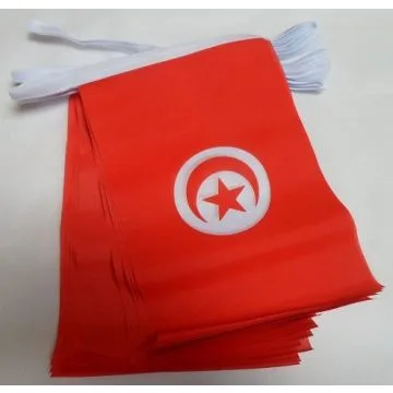 GUIRLANDE 4 mètres 20 DRAPEAUX TUNISIE 15x10 cm - DRAPEAU TUNISIEN 10 x 15 cm