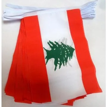 Guirlande 12 mètres 20 Drapeaux Liban 45x30 cm - Drapeau libanais 30 x 45 cm