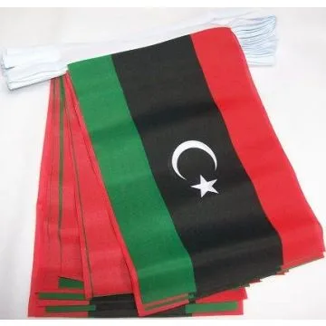 Guirlande 12 mètres 20 Drapeaux Libye 45x30 cm - Drapeau libyen 30 x 45 cm
