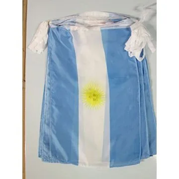GUIRLANDE 12 mètres 20 DRAPEAUX ARGENTINE 45x30 cm - DRAPEAU ARGENTIN 30 x 45 cm