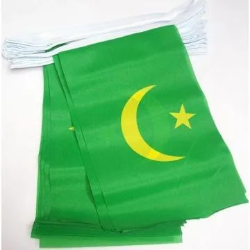 Guirlande 12 mètres 20 Drapeaux Mauritanie ancien 45x30 cm - Drapeau mauritanien 30 x 45 cm